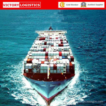 Ocean Freight From Shanghai/Ningbo/Qingdao/Guangzhou/Shenzhen/Xiamen/China to Mexico/Guatemala/Manzanillo/Puerto Rico/San Juan